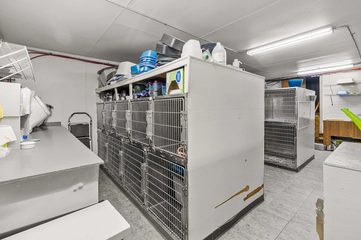Wellsville Veterinary Hospital Interior Image